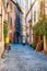 Cozy narrow ancient medieval Old Town paving stone street with green overgrown facades, small businesses, parked mopeds in Rome,