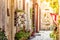 Cozy narrow street in the village of Pano Lefkara. Larnaca District, Cyprus