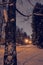 Cozy night view of a winter snowy park with snow-covered paths and yellow warm lanterns.