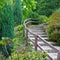 Cozy park with stairs