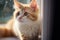 Cozy perch Adorable red and white kitten relaxes on the windowsill