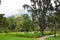 Cozy place in the park for relaxation. table with chairs on the lawn in the relax park.