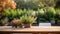 cozy plant table blur serene