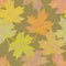Cozy seamless pattern with hand drawn autumn multicolored maple leaves