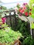 Cozy small garden on the balcony with blooming petunias. Beautiful greening design