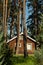 Cozy small wooden house cottage in a pines forest in summer. Rustic tranquil cabin retreat on nature rural area