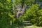 Cozy spot for relax and rest near old tree in form of fork figure in garden