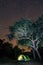 A cozy tent glowing warmly under a sky full of stars in the African bush