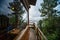 Cozy wooden guest house with veranda overlooking tropical mountain forest on cloudy foggy day