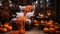 Cozy wooden house porch with chair, blanket, potted chrysanthemums and pumpkins. Decor of autumn. ai