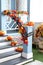 Cozy wooden porch of the house with pumpkins in fall time. Halloween design home with yellow fall leaves