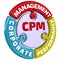 CPM. Corporate performance management. The check mark in the form of a puzzle