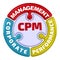 CPM. Corporate performance management. The check mark in the form of a puzzle