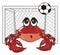 Crab aply to football