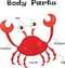 Crab body parts