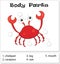 Crab body parts