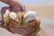 Crab caught in man\'s hand