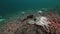 Crab cemetery on a deserted sandy bottom of Barents Sea.