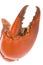 Crab Claw Macro