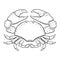 crab coloring page. Hand-drawn zodiac cancer . Horoscope symbol for your use. For tattoo art, coloring book. Coloring page for