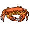 Crab Crustacean Shell Vector Cartoon Illustration