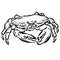 Crab Crustacean Shell Vector Cartoon Illustration