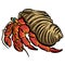 Crab Crustacean Shell Vector Cartoon Illustration Shrimp Shellfish