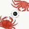 Crab design template. Hand drawn vector seafood illustration. Engraved style crustaceanl. Vintage lobster banner