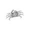 Crab drawing vector isolated crustacean animal