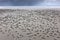 Crab dwellings on Australian beach