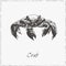 Crab. Hand drawn sketch. Collection of seafood.