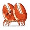 A Crab, isolated vector illustration. Cute cartoon picture for children of an aquatic animal