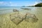 Crab and lobster fishing pots showing at low tide Asia