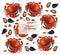 Crab and mussels Vector realistic pattern background. Seafood textures
