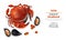 Crab and mussels Vector realistic on white background. Seafood template organic naturals