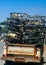 Crab pots on an old Chevrolet white truck  in BODEGA BAY, CALIFORNIA, Tought Truck meant to last