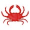 Crab red icon, seafood restaurant marine symbol