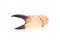 Crab\'s claw