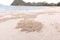 Crab`s hole on the beach floor on wet sand, Sensitive focus