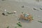 Crab in the sand with mussels and algae