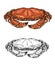 Crab, sea animal and ocean shellfish. Seafood