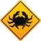 crab sign