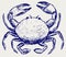 Crab sketch