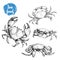 Crab sketch set. Hand drawn collection of seafood. Vector illustrations