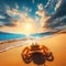 Crab stands alone on a golden sun drenched beach