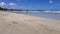 Crab strolls on the sands of the tropical beach