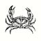 Crab top view. Ink black and white doodle drawing in woodcut outline style.