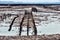 Crab traps and fish traps in low tide