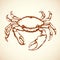 Crab. Vector drawing