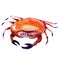 Crab. watercolor painting